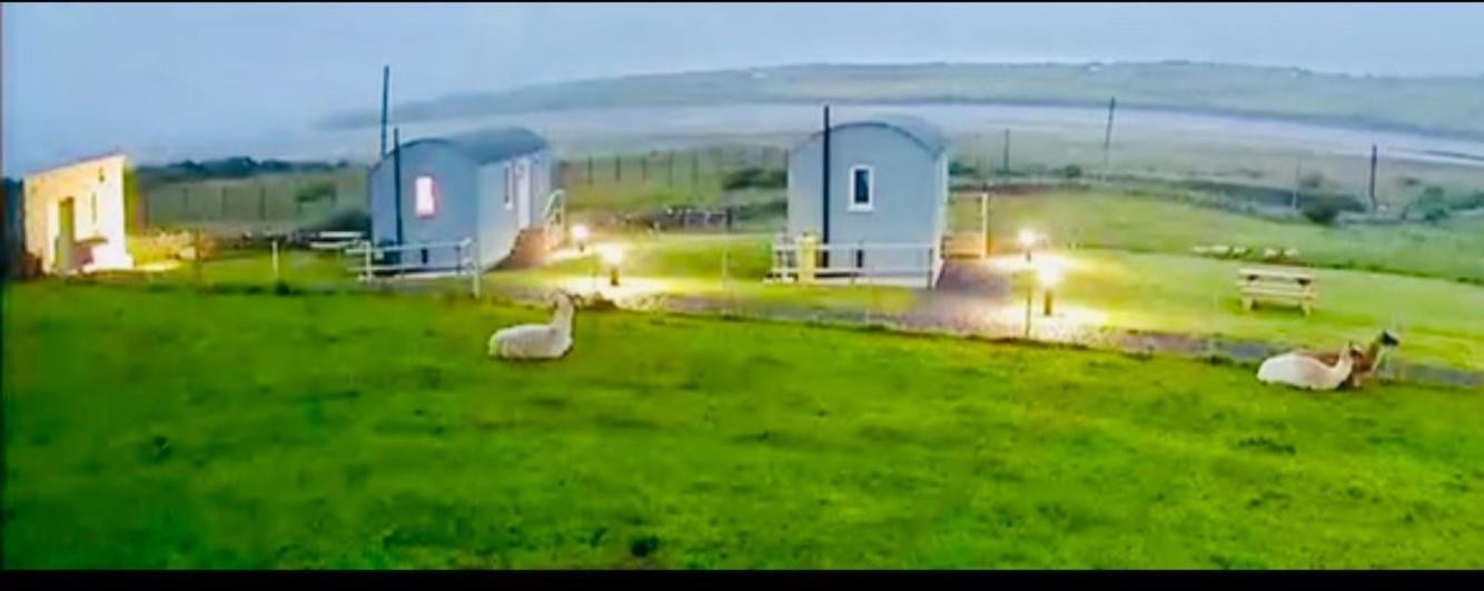 The Snuggly Sheep Farm Shepherd Hut *